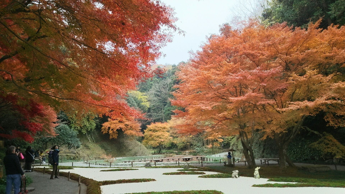 本堂後庭園の紅葉