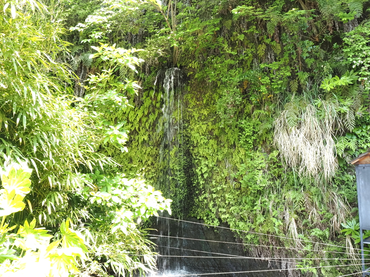 一条の滝