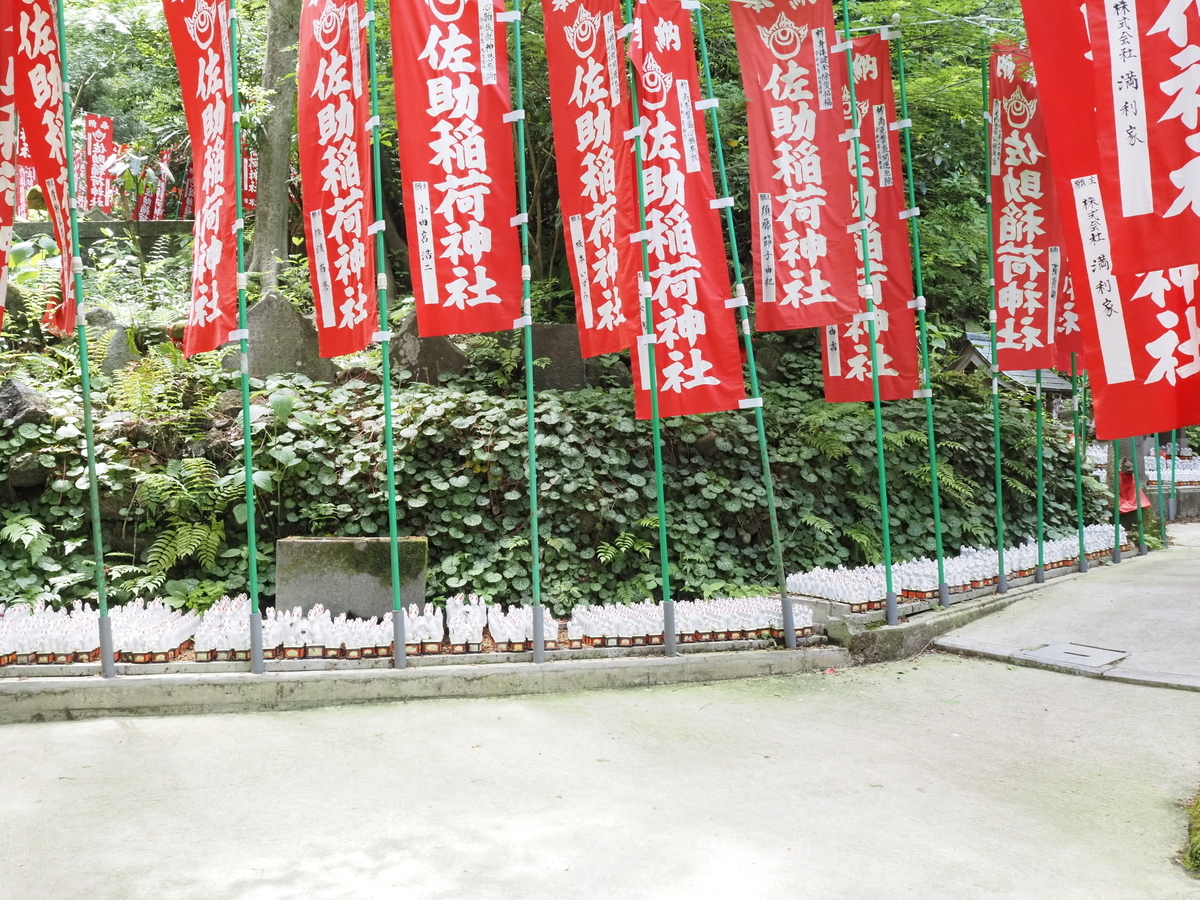 白狐