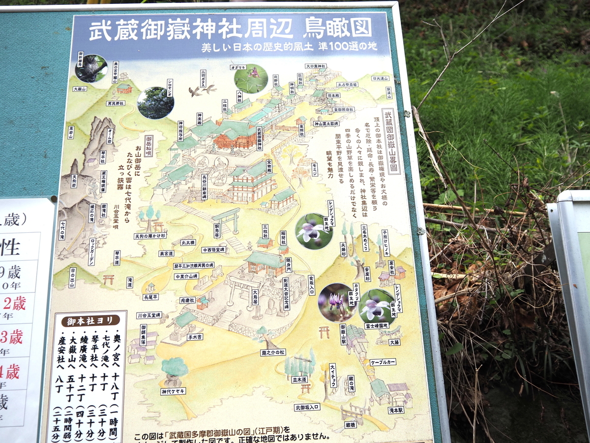境内案内図