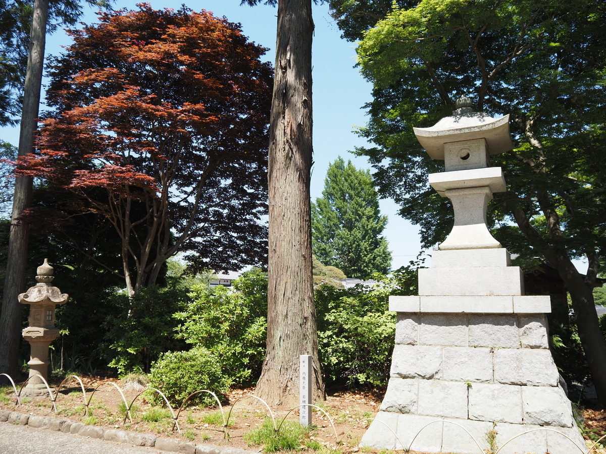 若槻禮次郎の記念樹