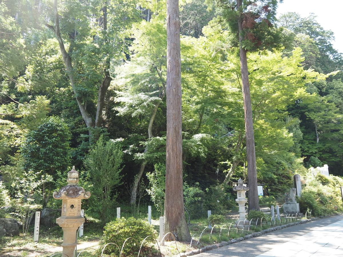 鳩山一郎の記念樹