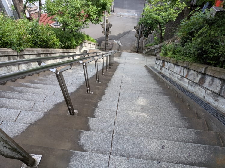 上から見下ろした男坂