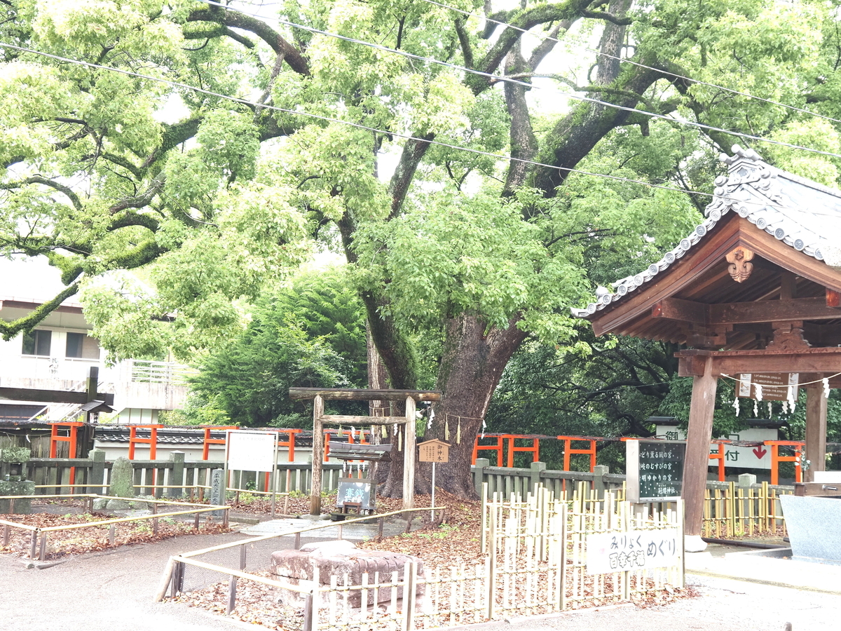 御神木