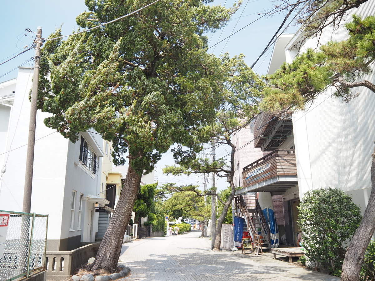 森戸大明神の参道