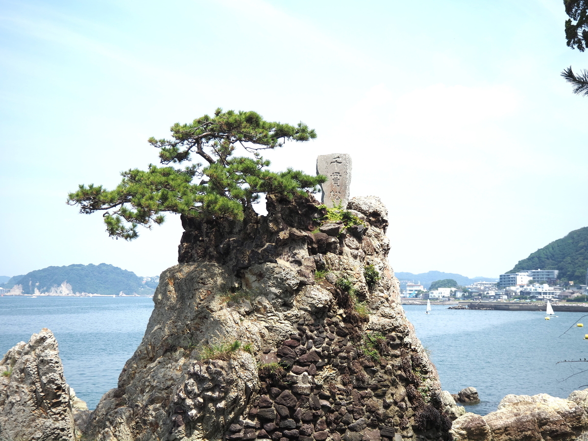 千貫松