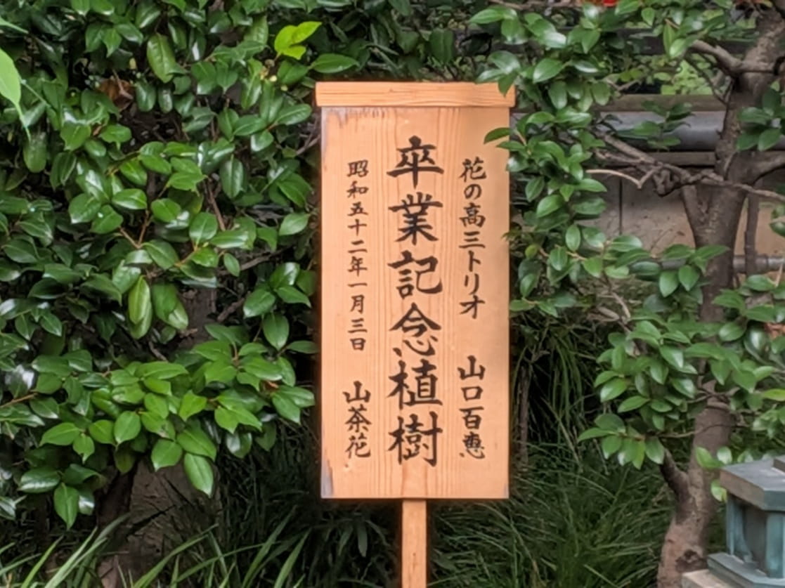 記念植樹の看板