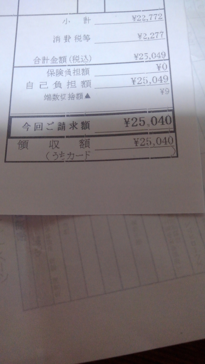 f:id:minamimamatan:20200114212011j:plain f:id:minamimamatan:20200114212011j:plain