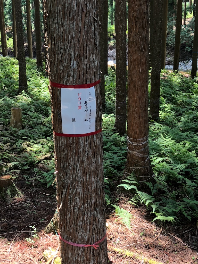 f:id:minamimoto0613:20180806194459j:image f:id:minamimoto0613:20180806194459j:image