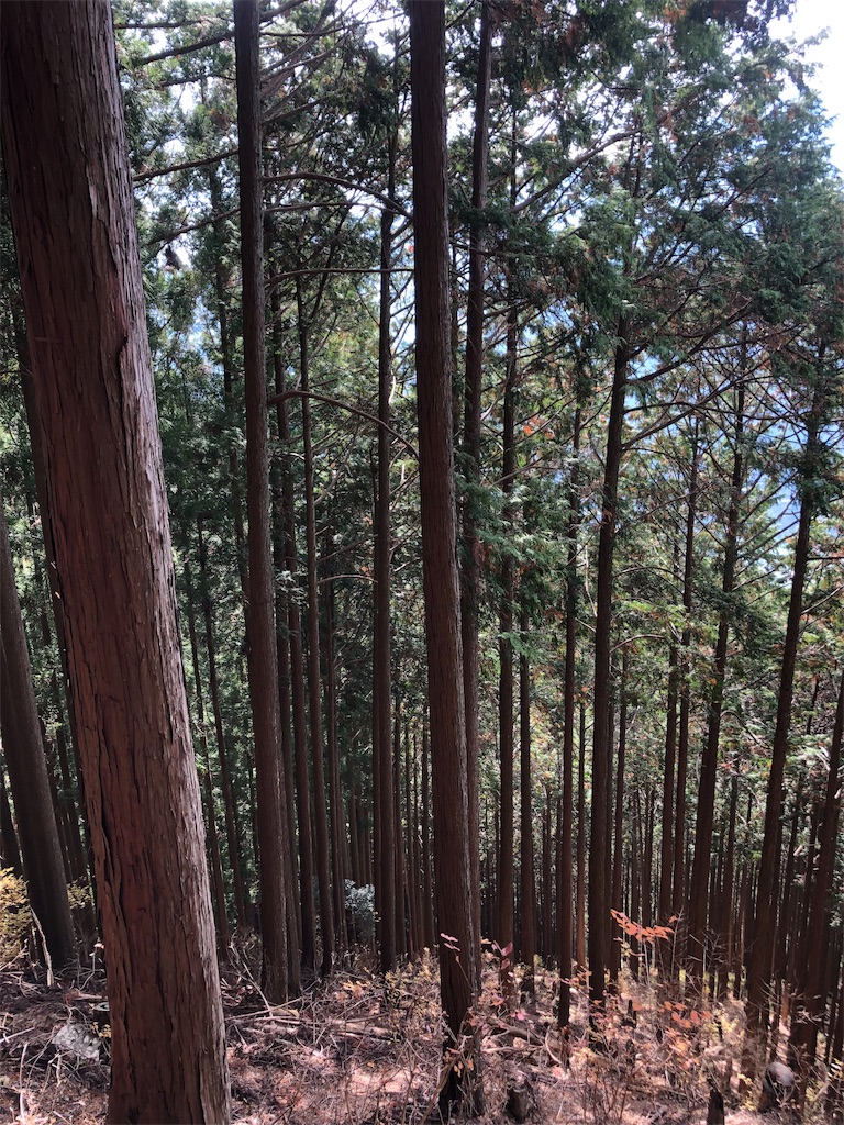 f:id:minamimoto0613:20191222171315j:image f:id:minamimoto0613:20191222171315j:image