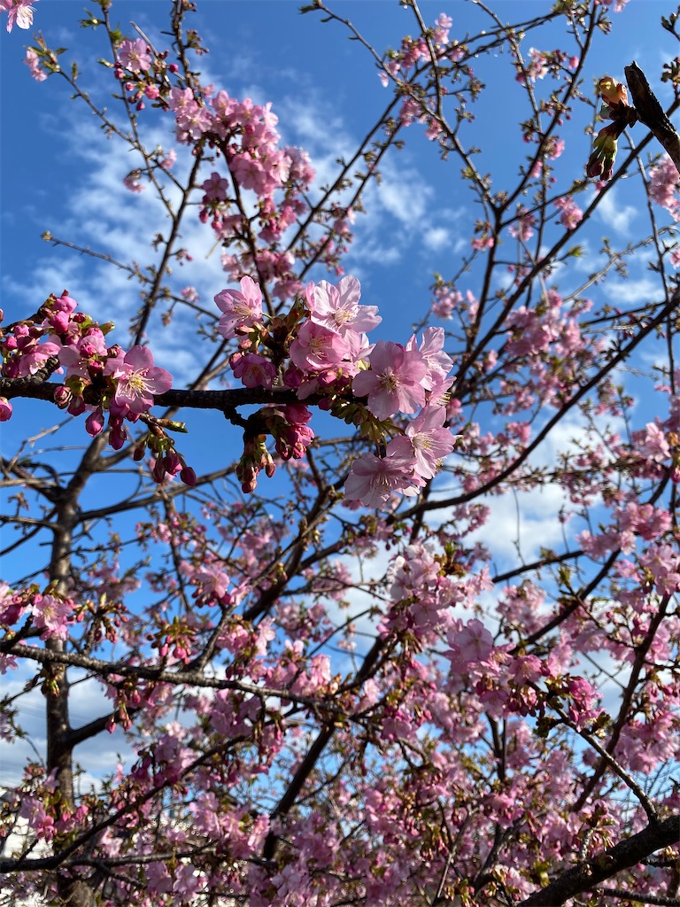 f:id:minamimoto0613:20210215212155j:image f:id:minamimoto0613:20210215212155j:image