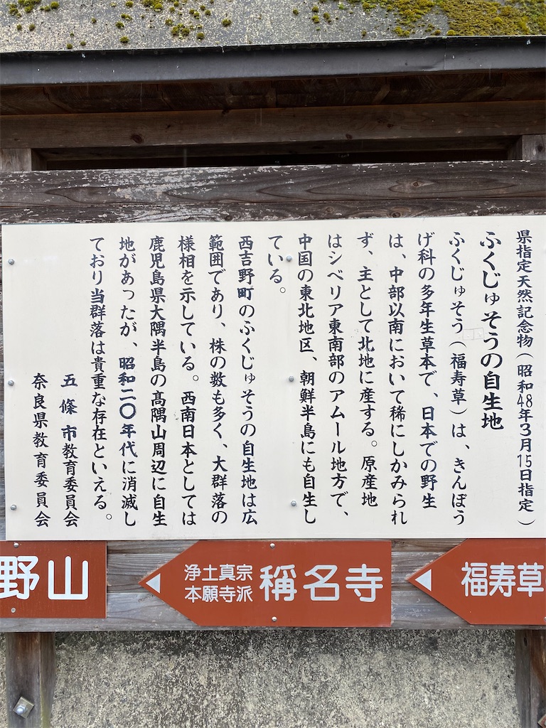 f:id:minamimoto0613:20210321165814j:image f:id:minamimoto0613:20210321165814j:image