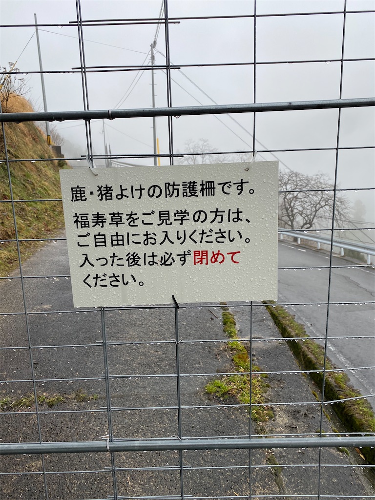 f:id:minamimoto0613:20210321165818j:image f:id:minamimoto0613:20210321165818j:image