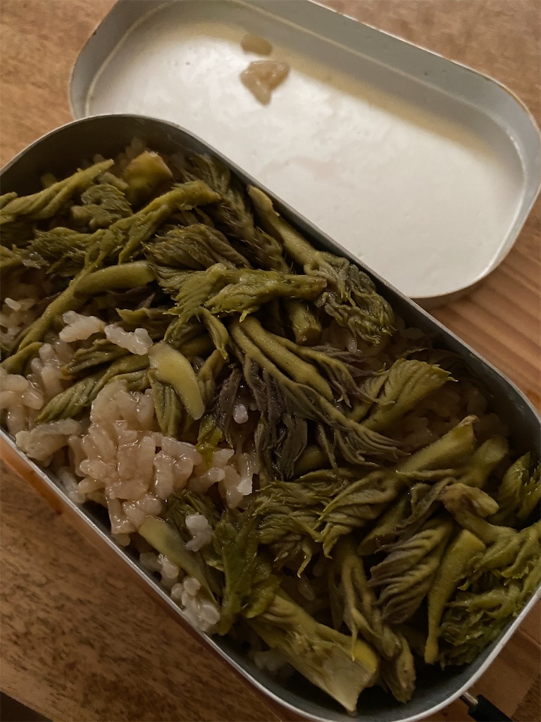 f:id:minamimoto0613:20210404182035j:image f:id:minamimoto0613:20210404182035j:image