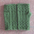 20110111095435