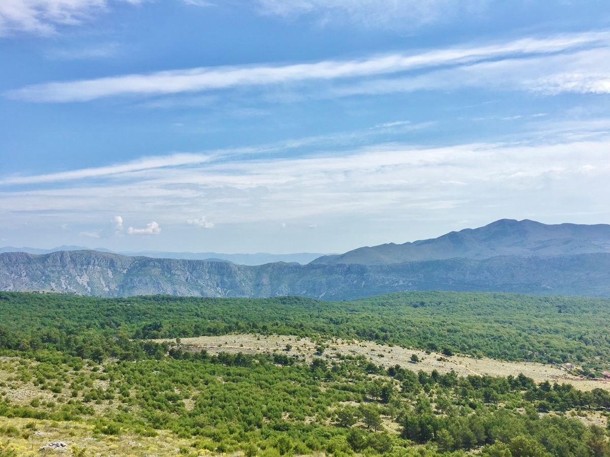f:id:minamoe0529:20190717230848j:plain f:id:minamoe0529:20190717230848j:plain