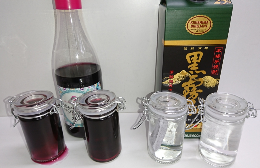 f:id:minamotosuiso:20161229051052j:plain