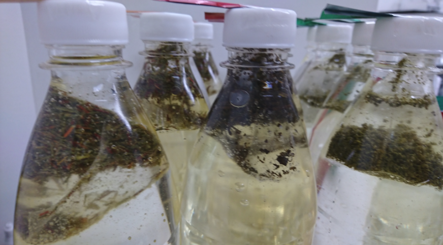 f:id:minamotosuiso:20170126180244p:plain f:id:minamotosuiso:20170126180244p:plain