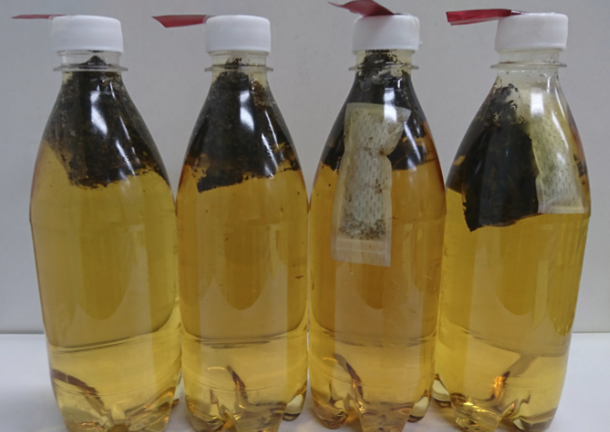 f:id:minamotosuiso:20170126181025p:plain f:id:minamotosuiso:20170126181025p:plain