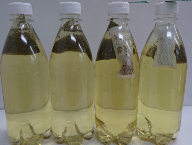 f:id:minamotosuiso:20170126181103p:plain f:id:minamotosuiso:20170126181103p:plain