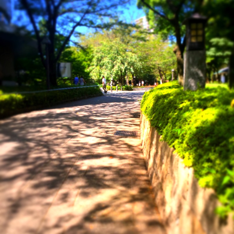 f:id:minaraipapa:20160903164543j:plain f:id:minaraipapa:20160903164543j:plain