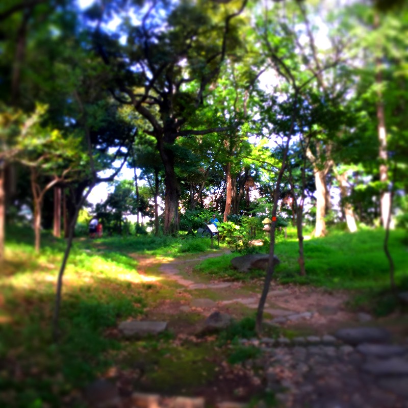 f:id:minaraipapa:20160903164553j:plain f:id:minaraipapa:20160903164553j:plain