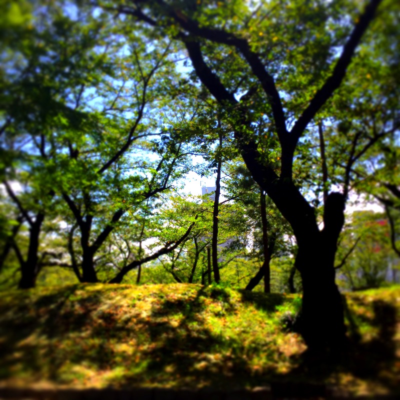 f:id:minaraipapa:20160903164606j:plain f:id:minaraipapa:20160903164606j:plain