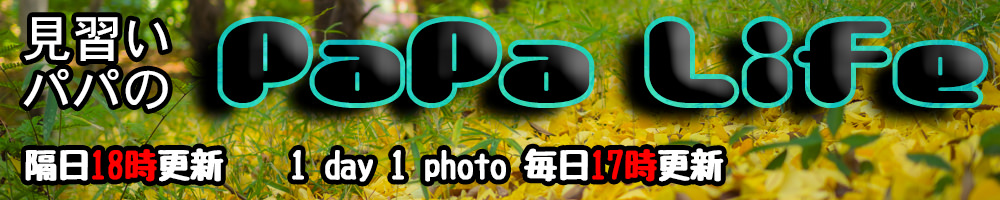 f:id:minaraipapa:20161128231029j:plain f:id:minaraipapa:20161128231029j:plain