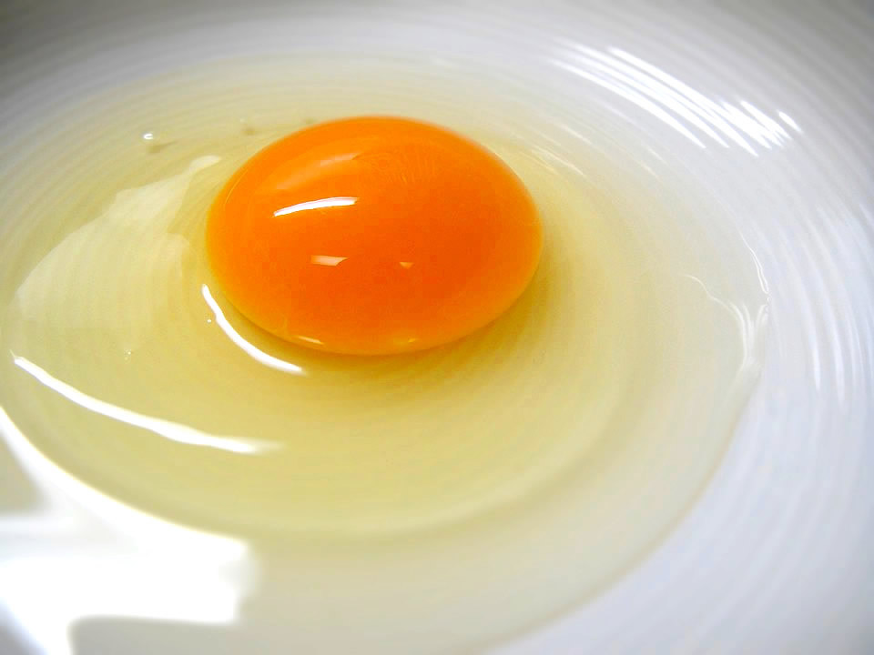 f:id:minaraisennin:20160911234033p:plain