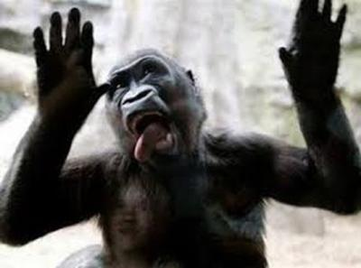 f:id:minaraisennin:20160916172343p:plain