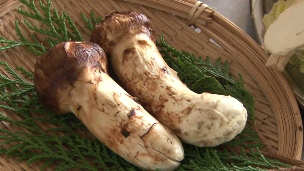 f:id:minaraisennin:20170125120729p:plain f:id:minaraisennin:20170125120729p:plain