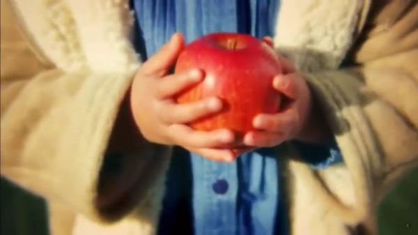 f:id:minaraisennin:20170220010924j:plain