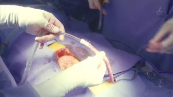 f:id:minaraisennin:20170220011403j:plain