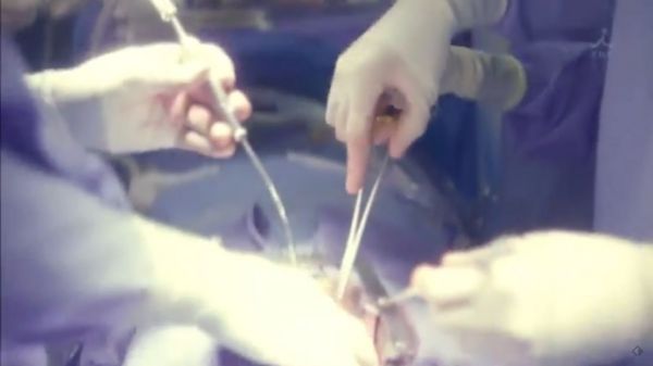 f:id:minaraisennin:20170220011408j:plain