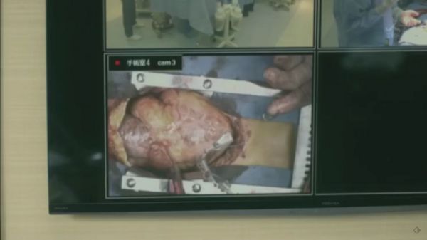 f:id:minaraisennin:20170220011425j:plain