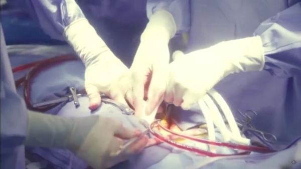 f:id:minaraisennin:20170220011633j:plain