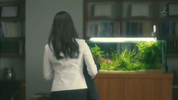 f:id:minaraisennin:20170220011712j:plain