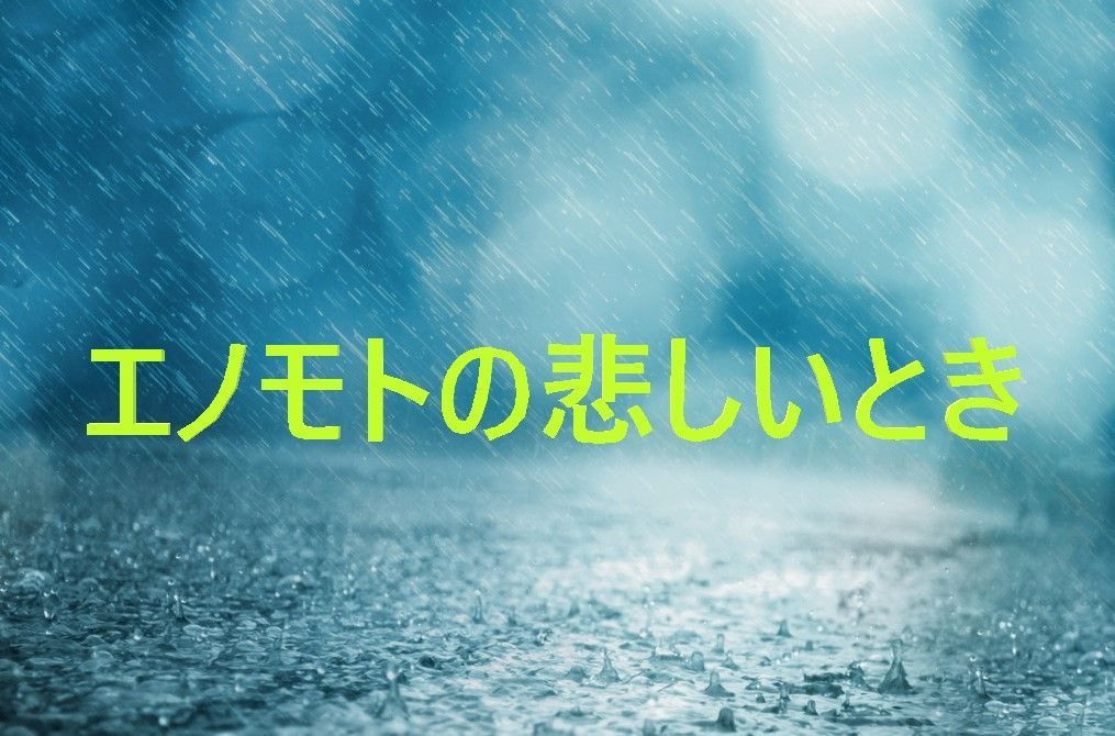 f:id:minaraisennin:20171128195434j:plain f:id:minaraisennin:20171128195434j:plain