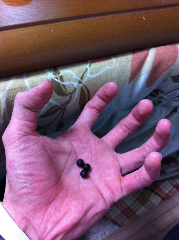 f:id:minaraisennin:20180130131451j:plain f:id:minaraisennin:20180130131451j:plain