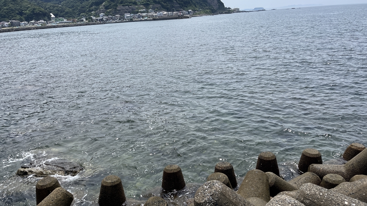 流れ星は見れなかった