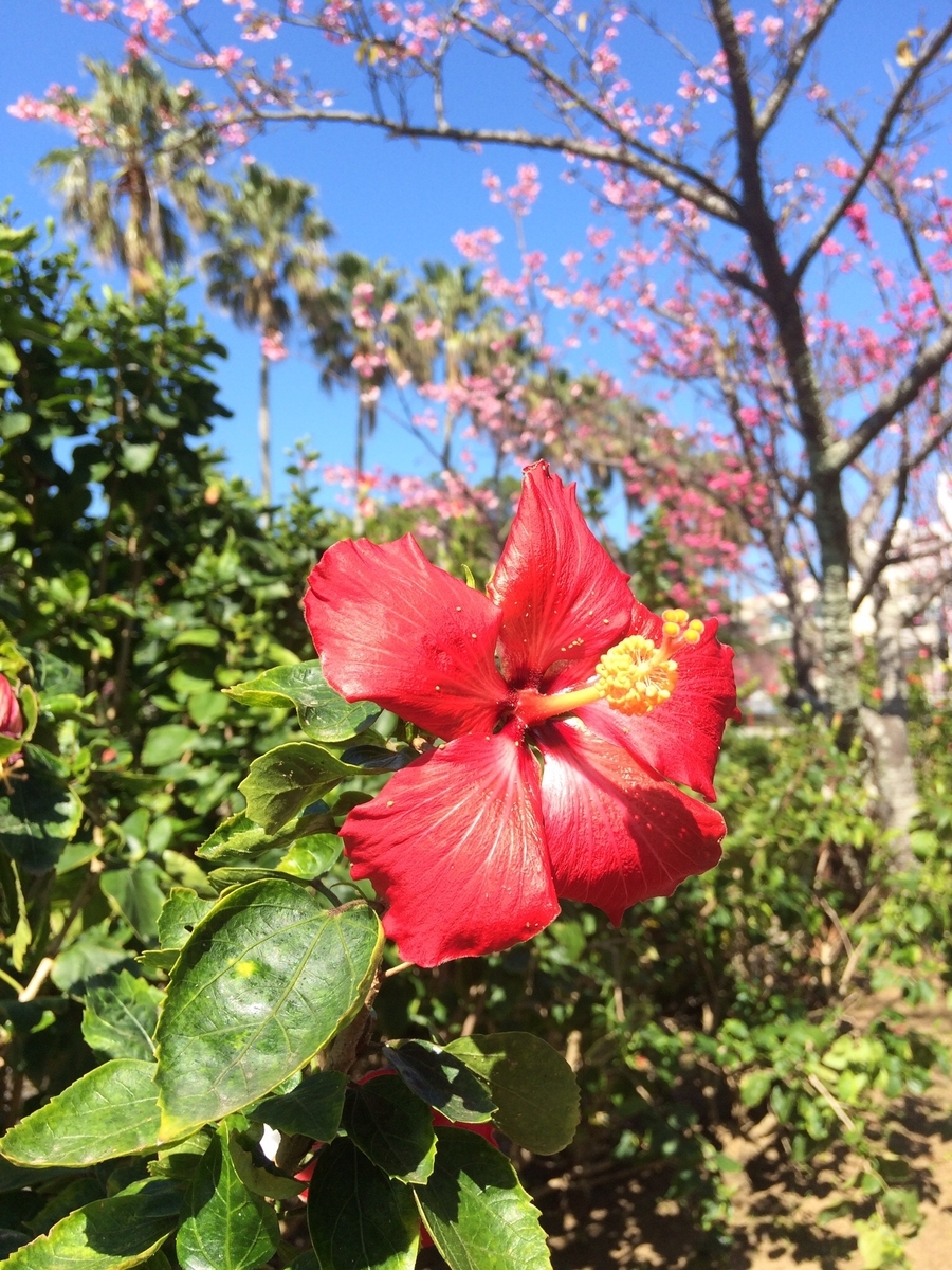 f:id:minashima:20190906162046j:plain