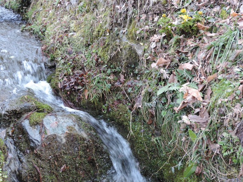 f:id:minato920:20160221071849j:plain