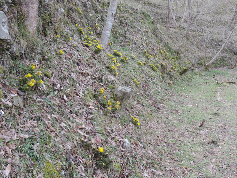 f:id:minato920:20160221071850j:plain