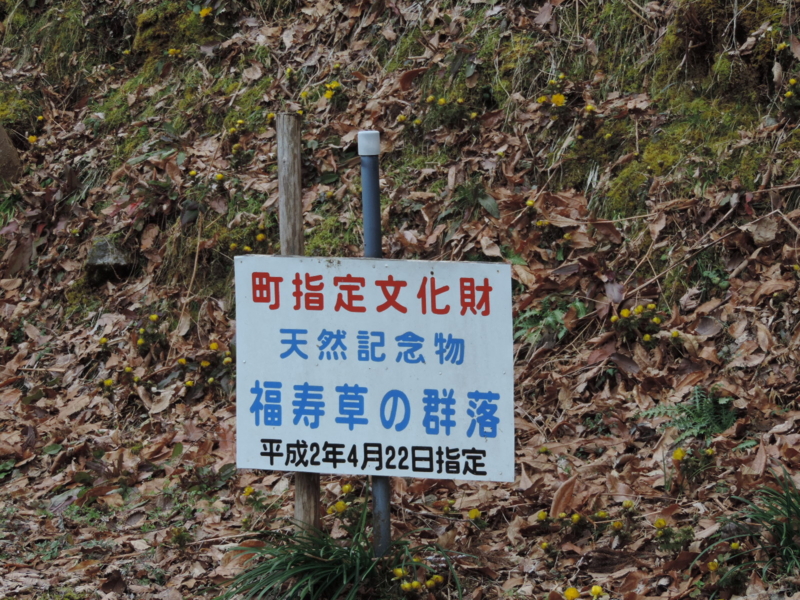 f:id:minato920:20160221072709j:plain