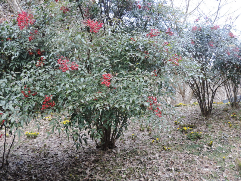 f:id:minato920:20160221072715j:plain