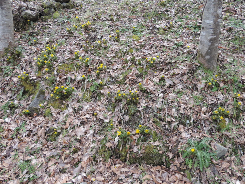 f:id:minato920:20160221072721j:plain