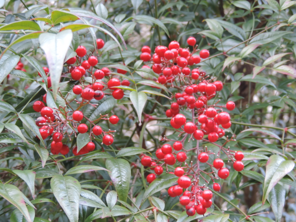 f:id:minato920:20160221084956j:plain