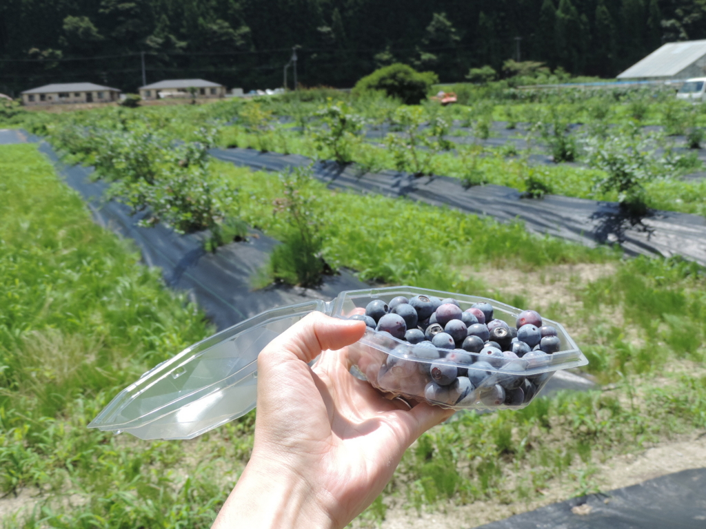 f:id:minato920:20160711153709j:plain