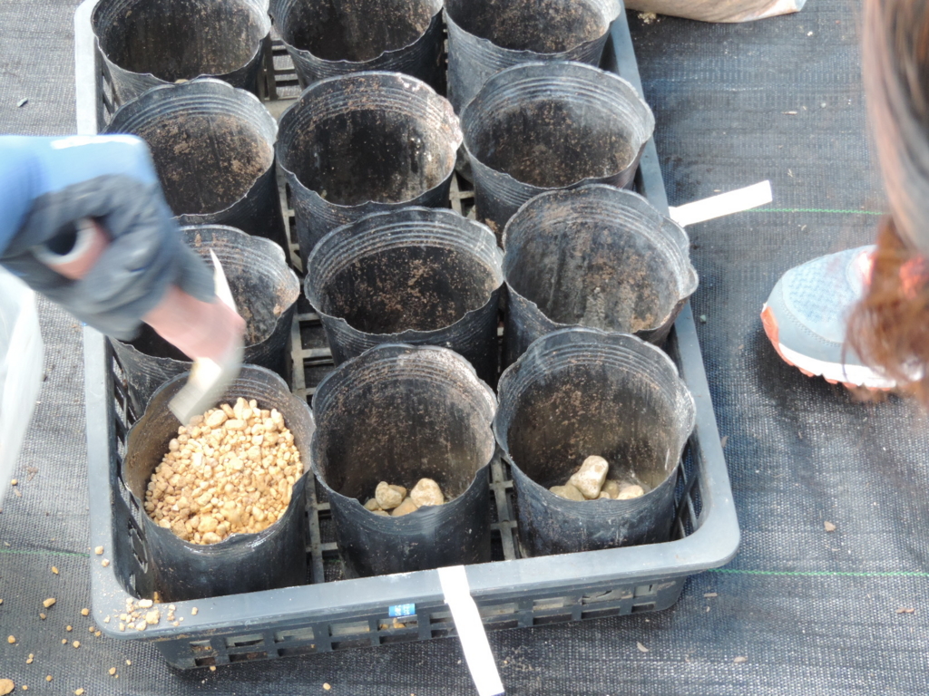 f:id:minato920:20160711153718j:plain