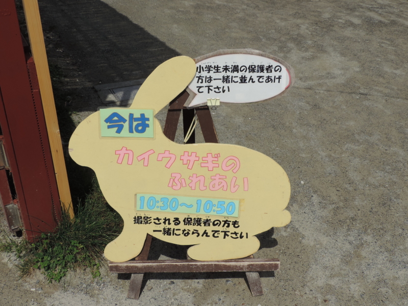 f:id:minato920:20161031203731j:plain f:id:minato920:20161031203731j:plain